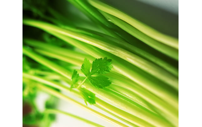 宝贝快来睡觉表情包,宝贝快来是什么儿歌