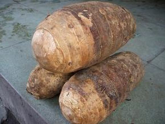 南通特产小食品,南通特产必买的10种