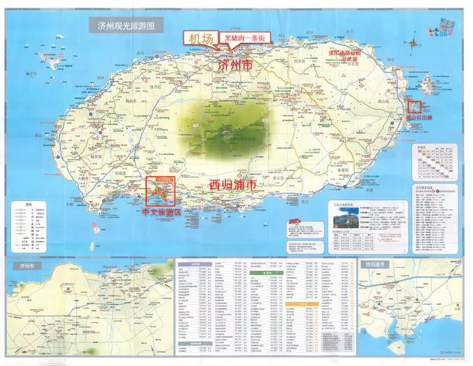 做一只治愈的猫,做一只快乐的柴犬