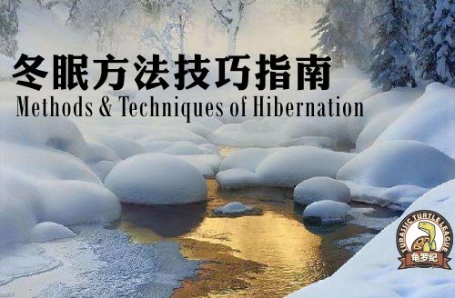 龟类冬眠方法技巧全面指南,各种龟类的冬眠方法