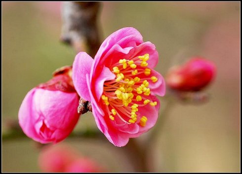 十劝世人大实话完整版,十劝世人大实话