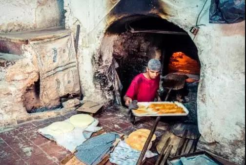 喵星人｜铲屎大大，发现一个超适合撸猫的地方……