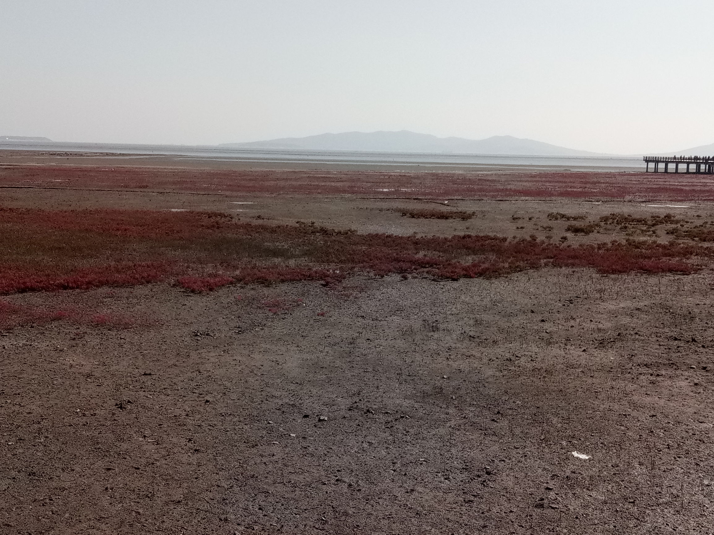 葫芦岛国庆旅游攻略,葫芦岛红海滩旅游攻略