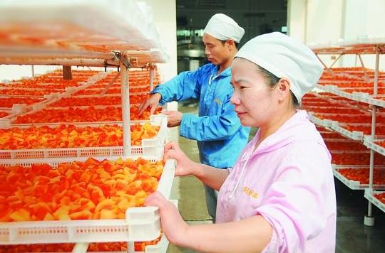 种地赚钱不用打工的方法,五十亩地种地怎么规划才能赚钱