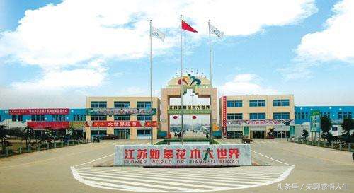 江苏省宿迁市沭阳县介绍,宿迁沭阳有多少个县