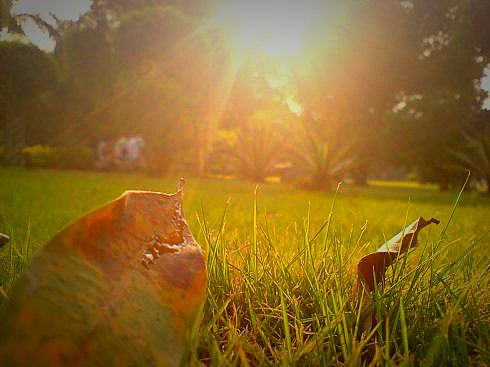 后天的白癜风会不会扩散,白癜风冷冻后能恢复吗