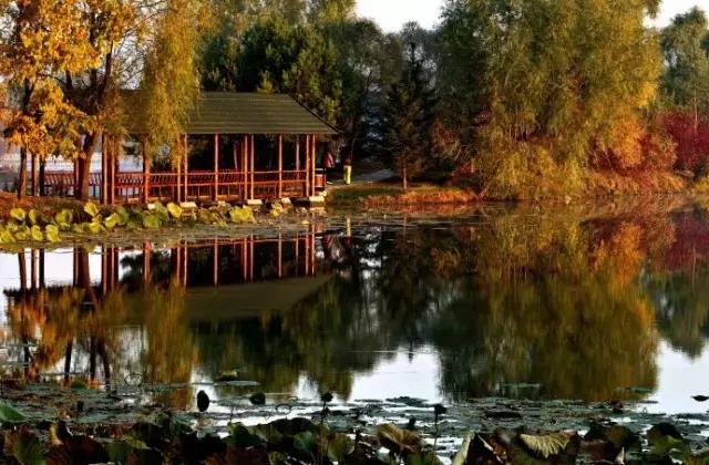 长春冬季最美拍照地,长春有一个很适合拍照的地方