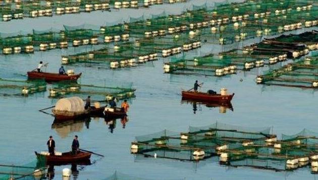 种地赚钱不用打工的方法,五十亩地种地怎么规划才能赚钱