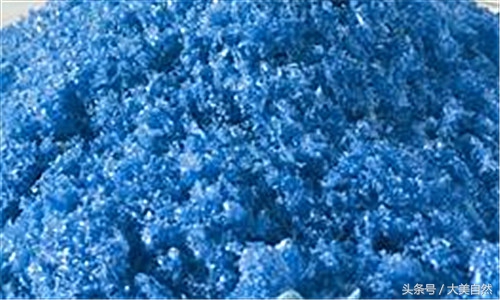 鱼塘虾太多了用什么能消灭,鱼塘虾的正确调理方法