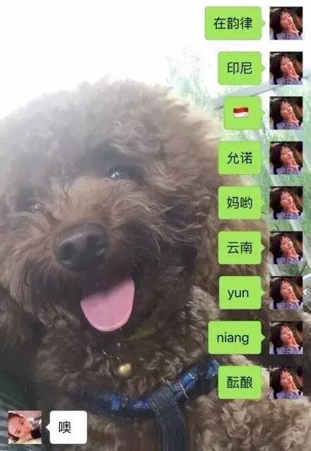 拼音输入法的笑话,有趣搞笑输入法有哪几种