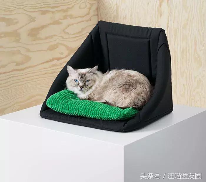 宜家宠物家具效果图,宜家宠物专区有哪些