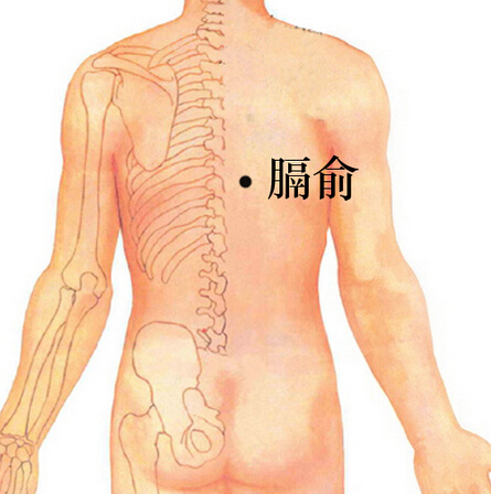 人体穴位大全全身高清穴位图,全身最重要的74个穴位讲解附图
