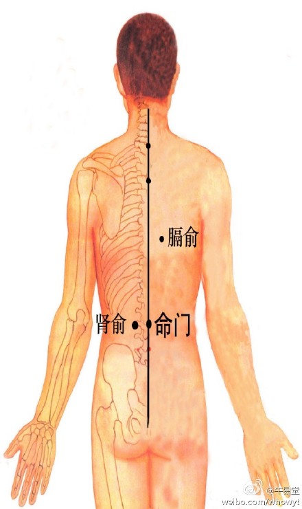 人体穴位大全全身高清穴位图,全身最重要的74个穴位讲解附图
