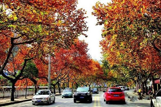 茅箭区和张湾区哪个好,张湾区和茅箭区哪个好