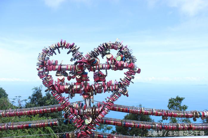 去兰卡威红树林,去兰卡威怎么玩