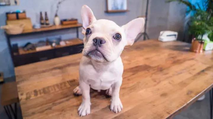 包包乱糟糟，这几招让你闭眼就能找东西