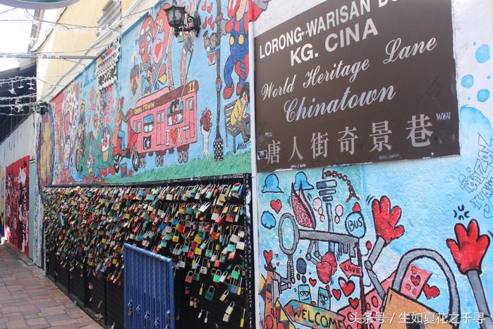 去兰卡威红树林,去兰卡威怎么玩