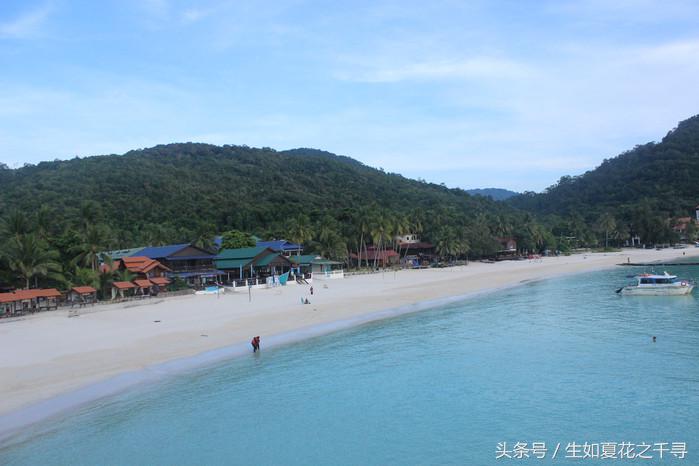 去兰卡威红树林,去兰卡威怎么玩