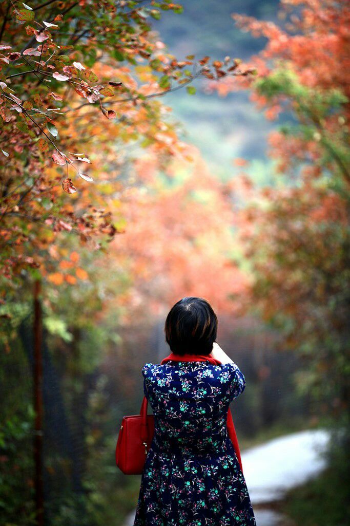 秋韵流过的晋城红