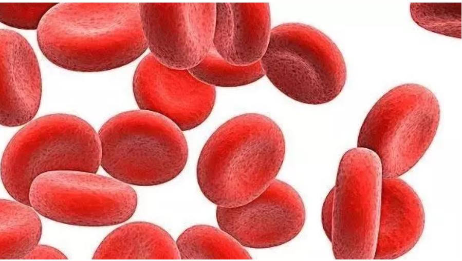 孕期地中海贫血症状和危害,地中海贫血怎样补充营养