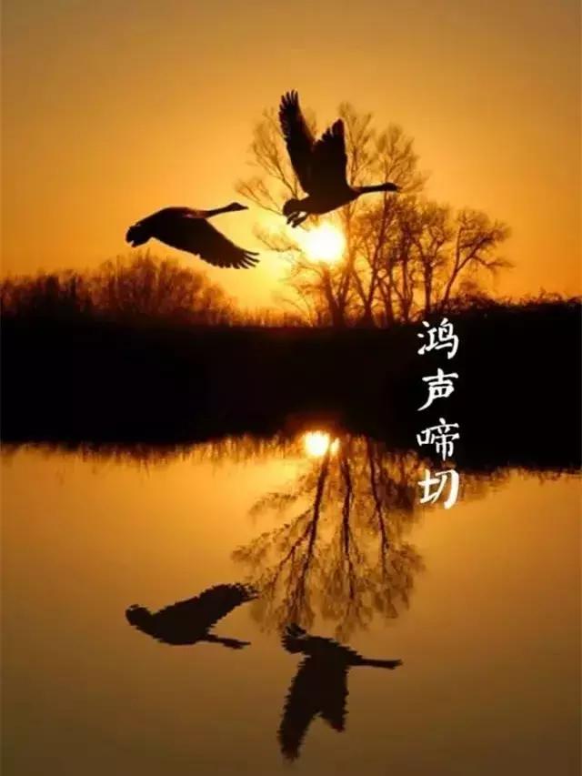 33首名作，尽现大唐荣耀289年