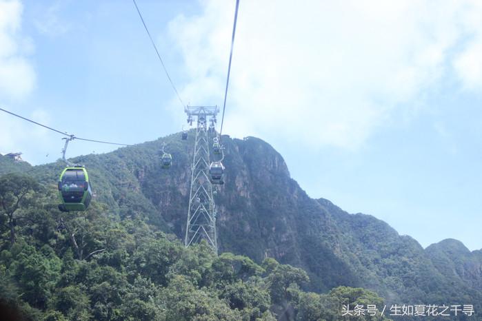 去兰卡威红树林,去兰卡威怎么玩