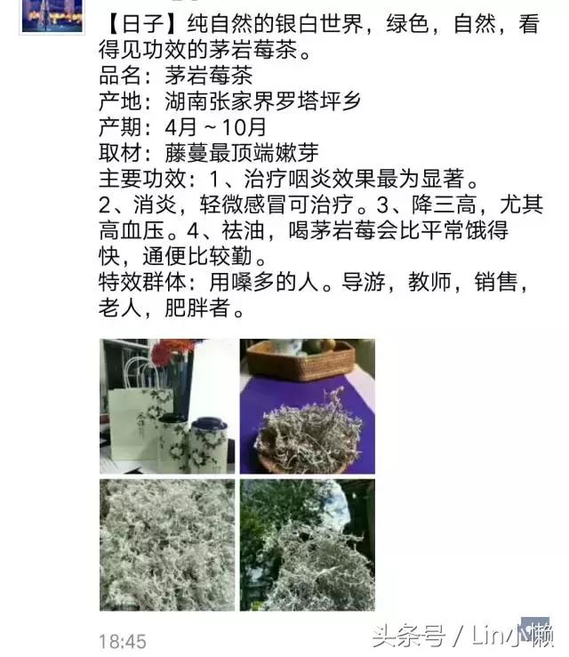 旅游淡季导游有什么感悟 (旅游淡季导游怎么样)