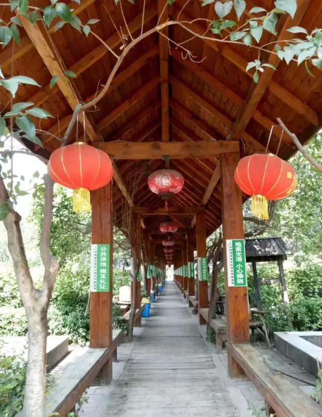 洛龙区银杏帝都温泉地址,洛阳银杏帝都温泉