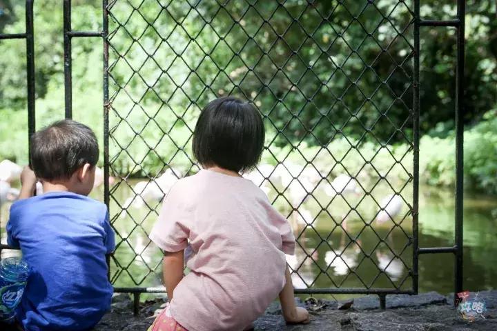 广州动物园的地图,广州动物园下一站去哪里