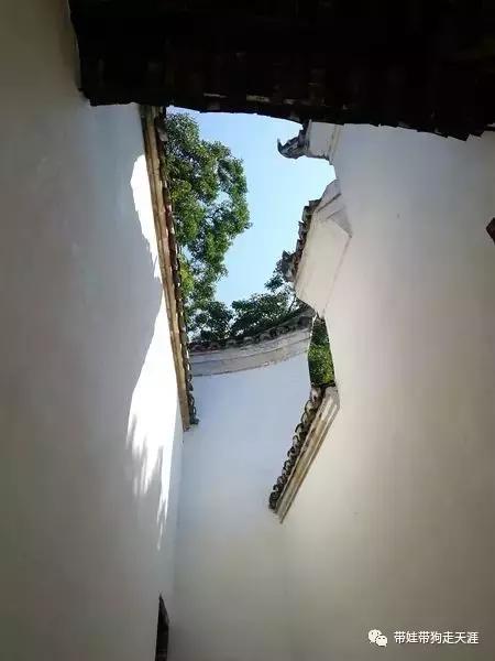 开着房车去遛娃,开着房车带狗狗出去玩