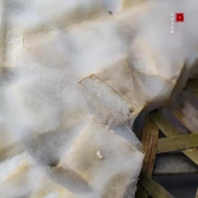 绝对不能错过的!贵州“织金美食”小吃全攻略~没白来