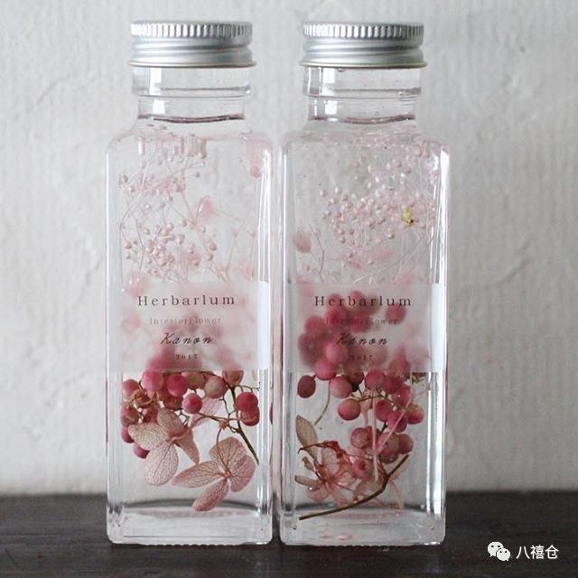 干花的颜色和品种,干花的形态分类