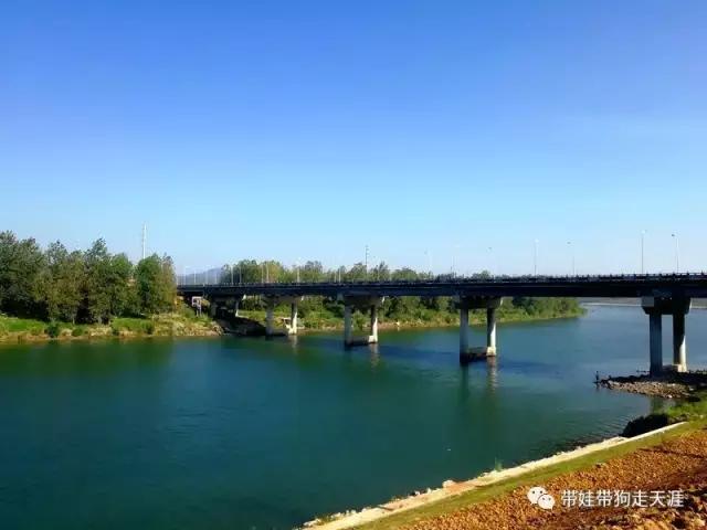 开着房车去遛娃,开着房车带狗狗出去玩