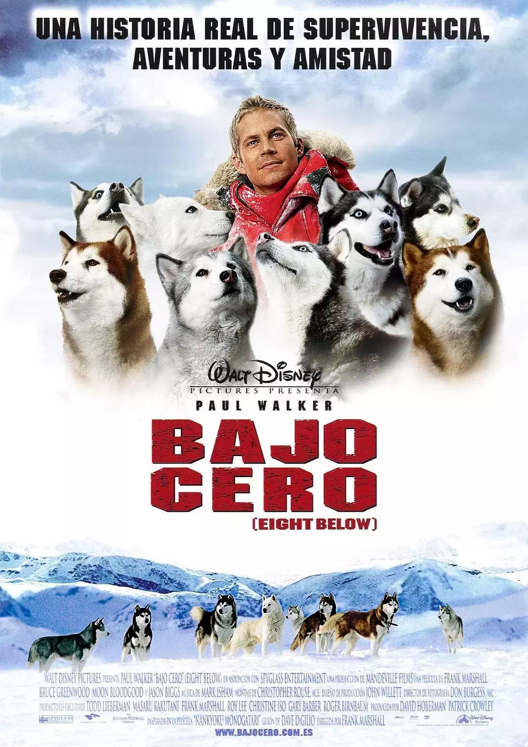 关于忠犬的9部电影推荐,看看有没有你家“那位”的影子