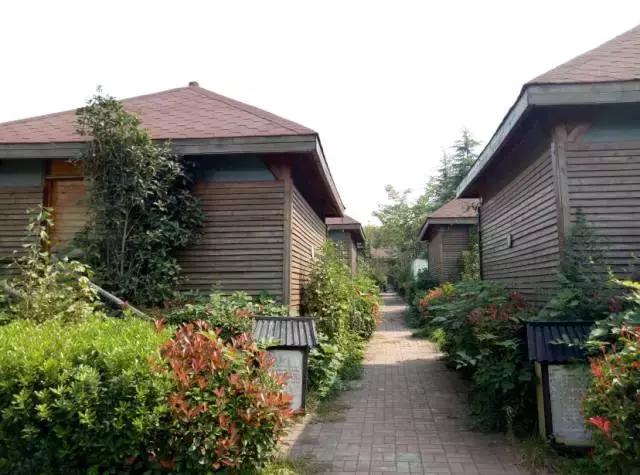 洛龙区银杏帝都温泉地址,洛阳银杏帝都温泉