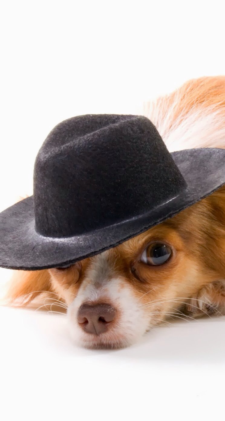 唯美1080×1920P高清壁纸锁屏画面待机背景图！请在wifi环境查看