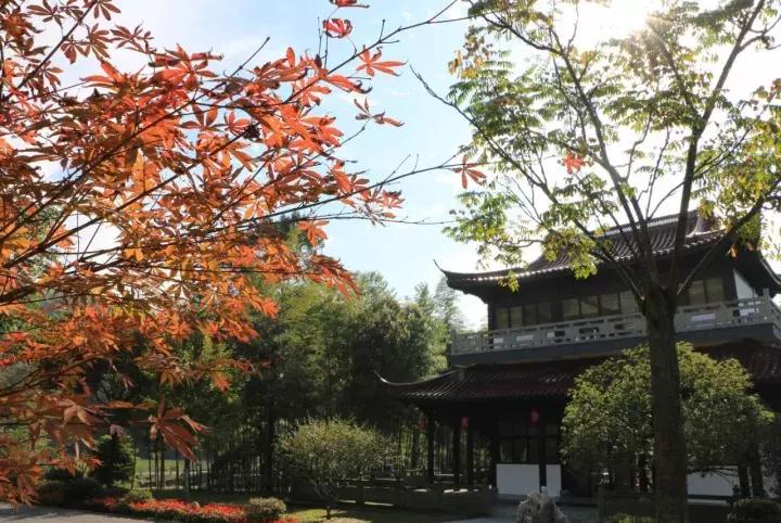 最新宜兴竹海旅游攻略分享,宜兴竹海最佳旅游季节