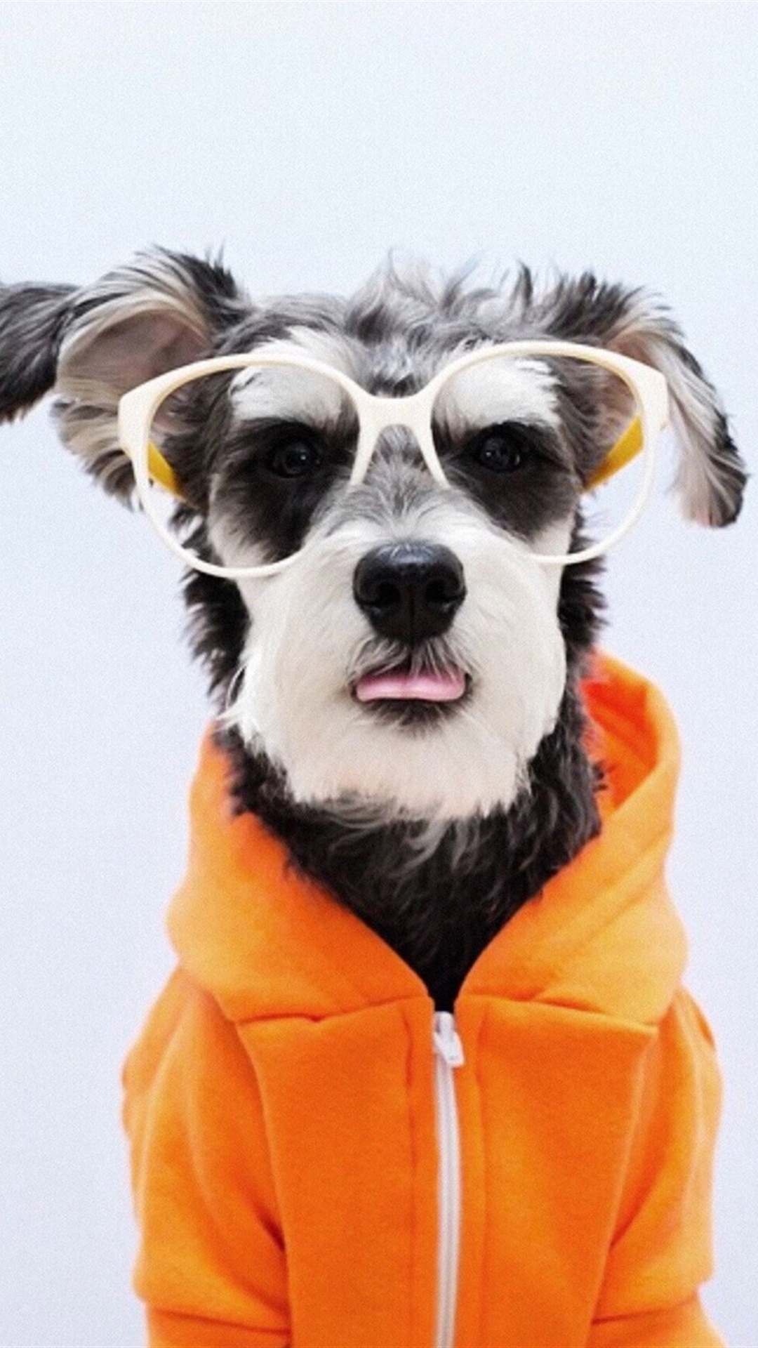 唯美1080×1920P高清壁纸锁屏画面待机背景图！请在wifi环境查看