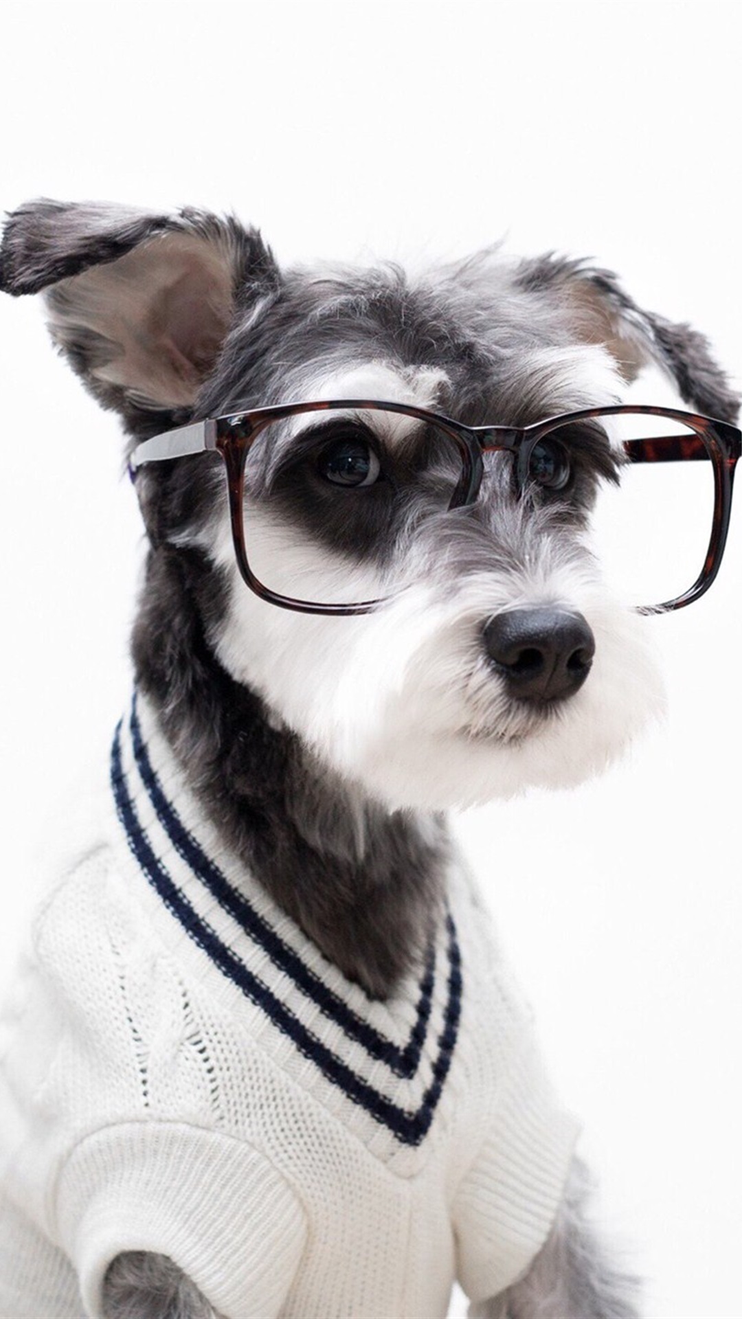 唯美1080×1920P高清壁纸锁屏画面待机背景图！请在wifi环境查看