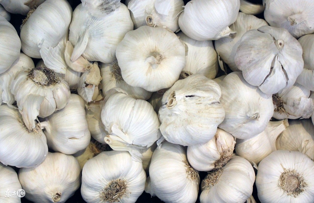冬天吃大蒜好处,秋天吃大蒜对身体有什么好处