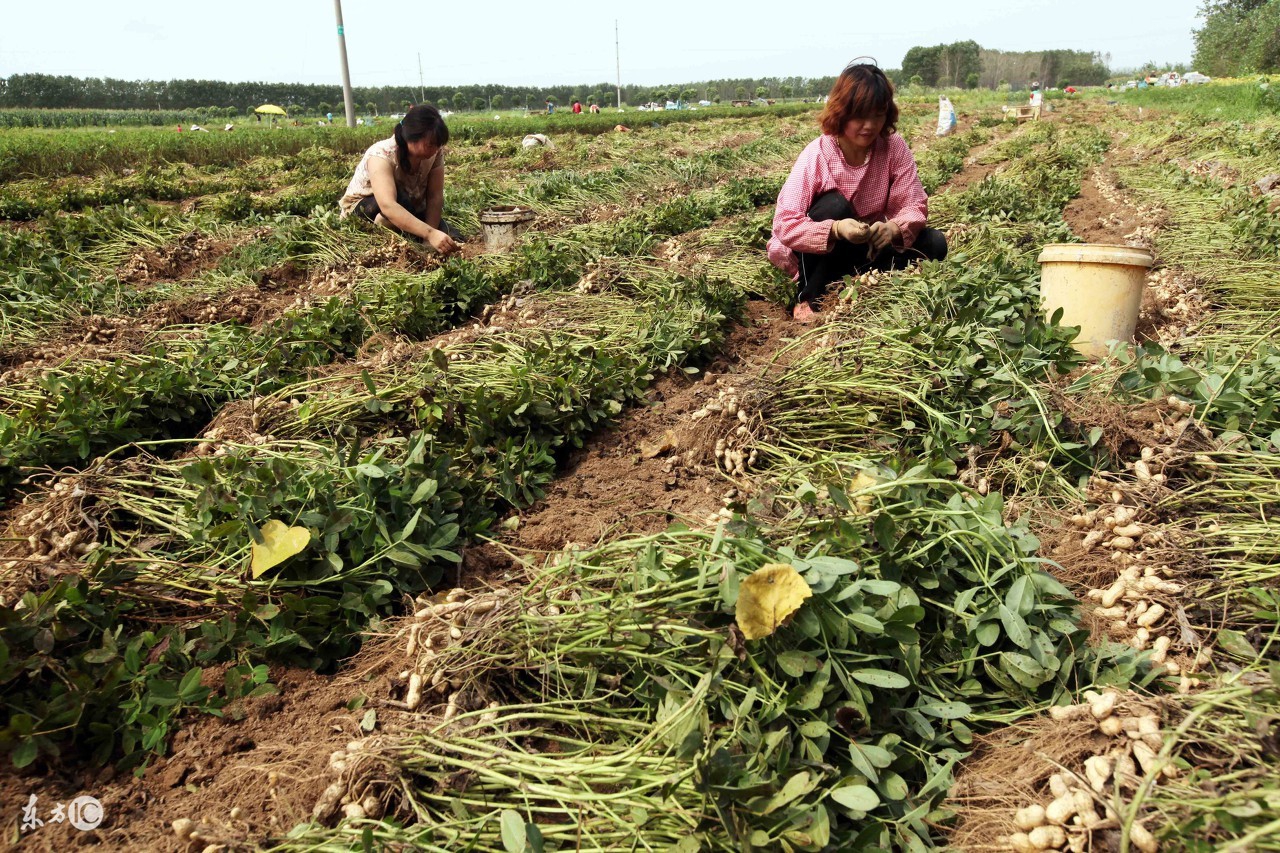 新村不是村，让胡路也不是路，大庆的这些秘密，有人不一定知道