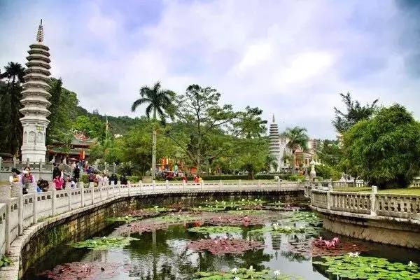 去厦门旅游自由行攻略图,超级详细厦门旅游攻略