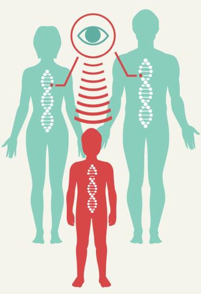 美国基因药物治疗视网膜疾病,美国基因治疗夜盲进展