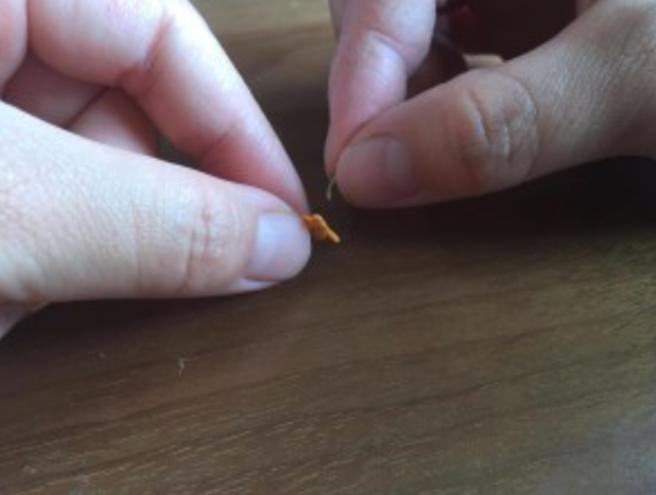 郁金香diy手工,桂花梅花香怎么制作