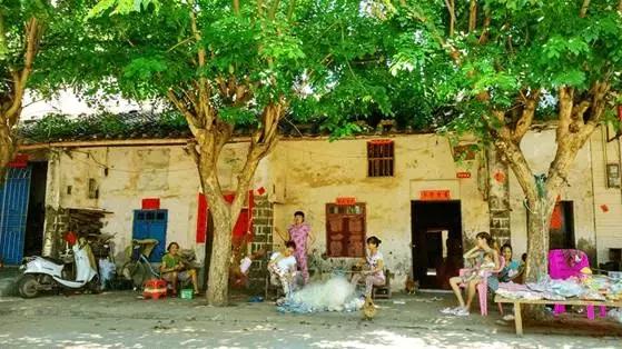 带大家了解海南临高,海南临高是个什么样的城市