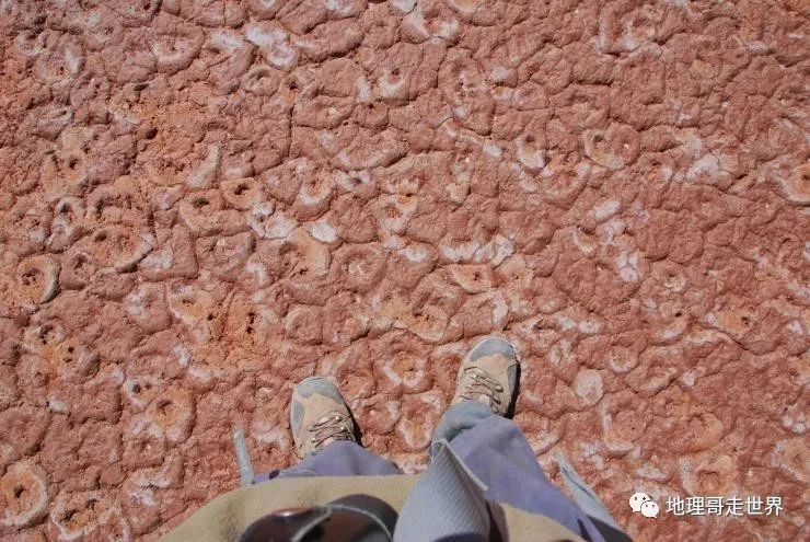 藏北高原无人区攻略,藏北无人区风景美如画