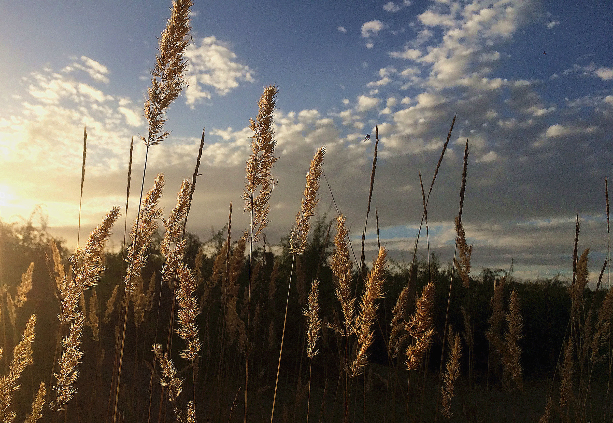 德令哈文艺小城,德令哈浪漫之城