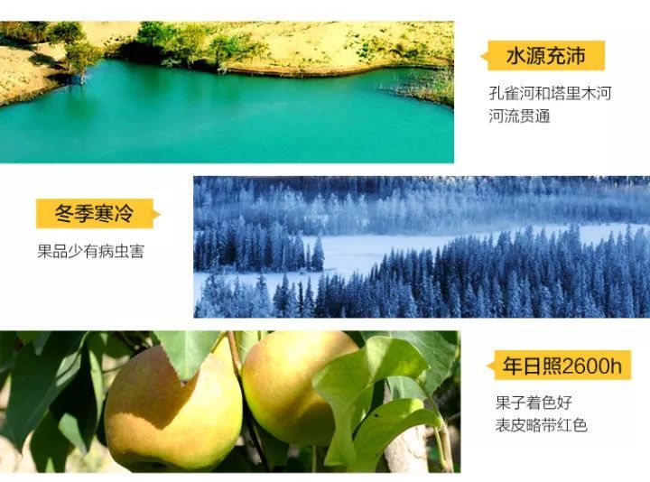 *疆新**库尔勒香梨：秋日滋阴去燥的宠儿