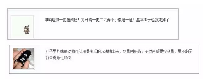 陆龟得肠炎怎么办,陆龟拉蛔虫