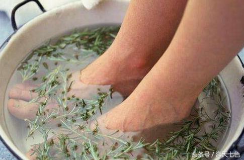 哪种艾草对女人最好,女人一定要知道艾草的妙用方法